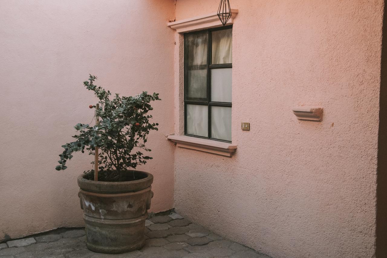 Casa Los Naranjos San Miguel de Allende Bagian luar foto
