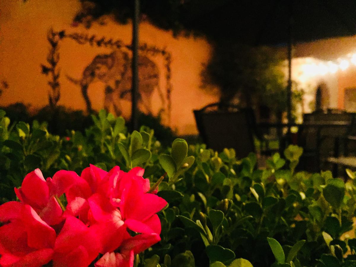 Casa Los Naranjos San Miguel de Allende Bagian luar foto