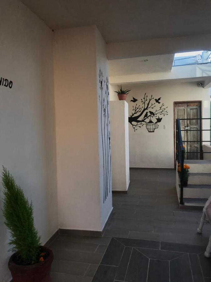 Casa Los Naranjos San Miguel de Allende Bagian luar foto